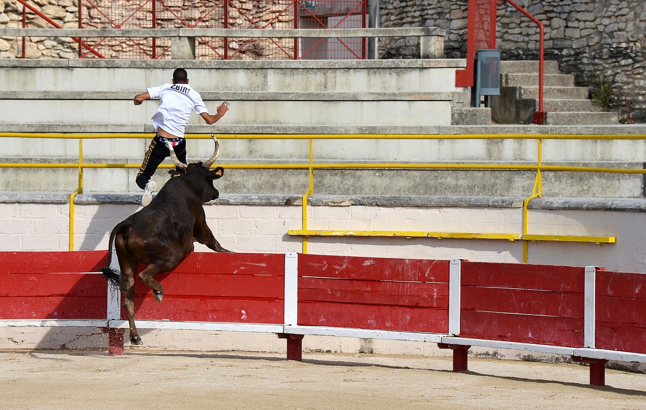戴维斯再现防守神勇，独行侠继续胜利之路.