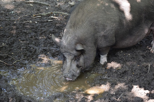 到更多的中 到更多的中